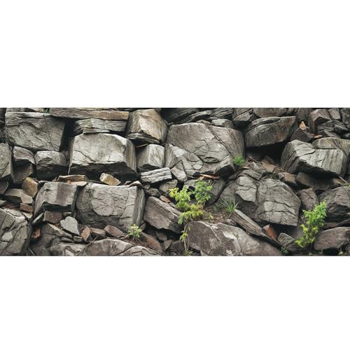 48X24IN Black Stone Aquarium Background, Rock Fish Reptile Tank Background, Natural Rocky Glass Bearded Dragon Terrarium Decor Background Wallpaper with 10 EVA Double-Sided Tape, Polyester - color: Stone, size: 48X24in/120X60cm