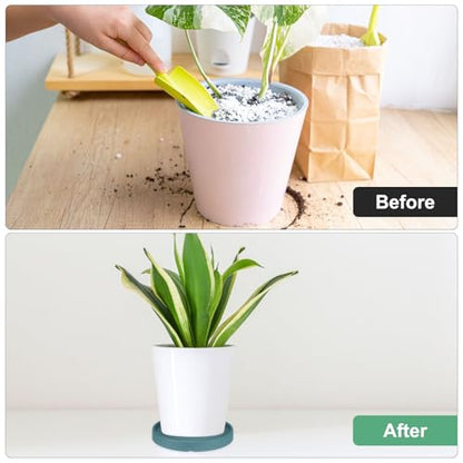 M METERXITY Ceramic Plant Saucer, 6.3 Inch Plant Water Catcher Tray, Plant Pot Saucers for Indoor/Outdoor Plants/Flower Drainage Drip Water Tray [Round Black Green] - color: Black Green
