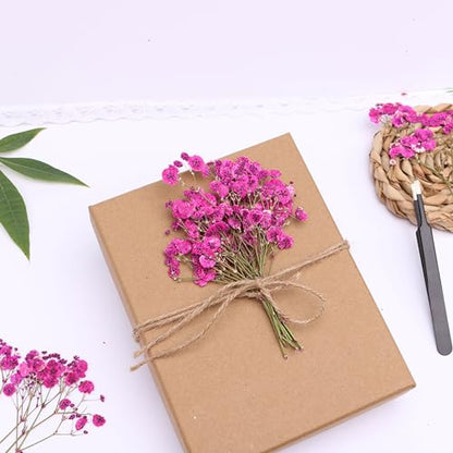Fuchsia 70 Pcs Small Dried Babys Breath Flowers for Resin ,Real Dried Babys Breath Pressed Flower for Wedding Invitations Wax Seals ,Dry Flat Baby's Breath Flower with 2 Tweezers. - color: Fuchsia
