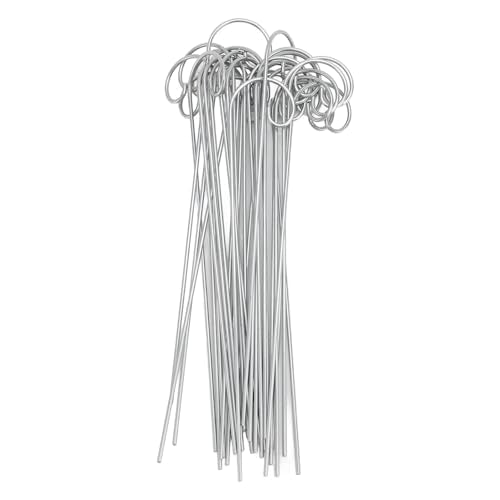 30PCS Stainless Steel Plant Label Hooks for Outdoor Plants | Plant Label Holder, Small Garden Hooks,Garden Markers Stake, Plant Sign Stake, Rustproof Garden Tag Holder,200mm