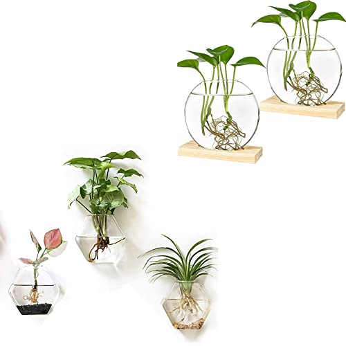 Kingbuy Wall Hanging Planter Glass Terrarium Propagation Station 3 Geometric Hexagon Shaped Vase and Desktop 2 Round Glass Planter with Wooden Stand for Home Office Decor