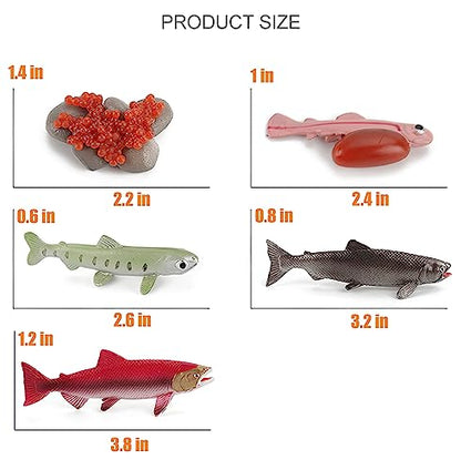 Montessori Life Cycle Animal Plastic Insect Figurines Learning & Education Toys for Kids, Preschool Activities (Salmon) - color: Salmon