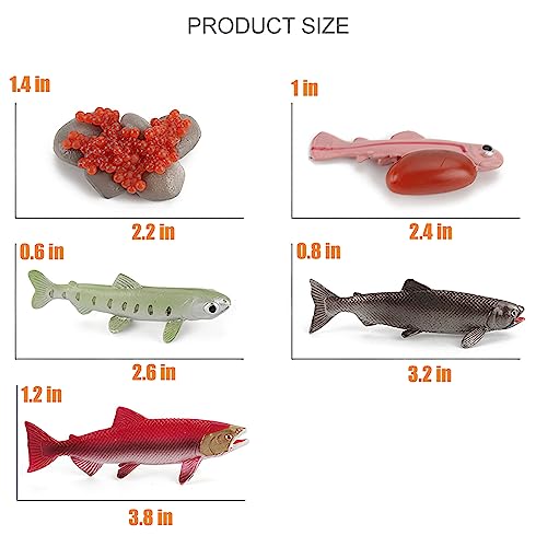 Montessori Life Cycle Animal Plastic Insect Figurines Learning & Education Toys for Kids, Preschool Activities (Crocodile Salmon Turtle) - color: Crocodile Salmon Turtle