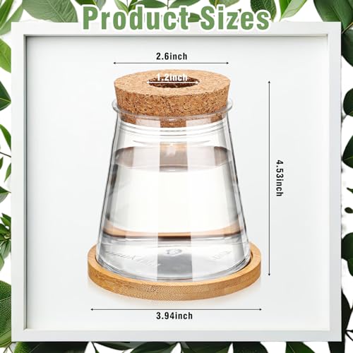 12 Packs Propagation Vases for Plants Plastic Plant Propagation with Hole Lid and Bamboo Stand Growing in Water Hydroponic Home Office Desktop Vase Decoration (Cute Style) - style: Cute Style