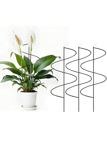 4 Pack Small Wavy Trellis for Potted Plants Indoor, 15 in Garden Trellis for Climbing Plants Outdoor, Single Stick Metal Climber Support Stakes for Vine Ivy Hoya Flower (Black) - color: Black