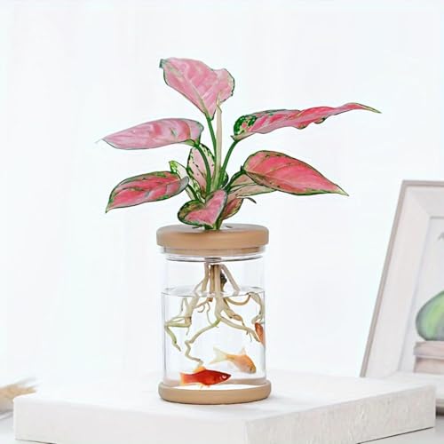 Plant Propagation Stations - Hydroponic Pots for Flowers for Indoor Plants, Home Office Desk Decor, Gardening Gifts for Women Mom, Birthday Gifts for Plants Lovers