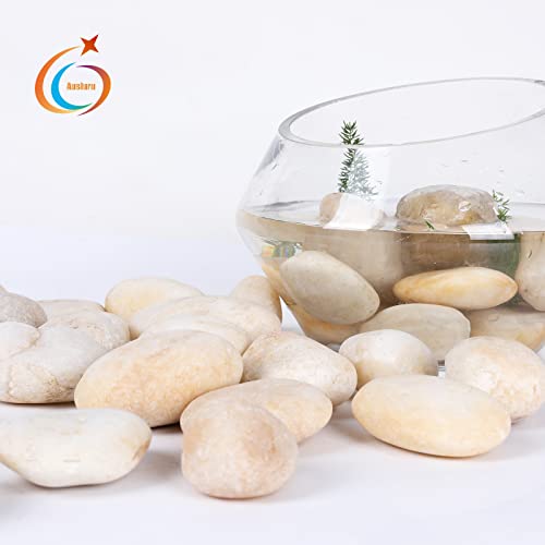 11LB Stones Pebbles River Rocks, 100% Natural Hand-Picked Premium Decorative Pebbles, Ideal for Garden Landscaping, Home Decor, Aquariums, Painting, Crafting and Gifts, Cream White - size: 11 Pounds, style: Cream White