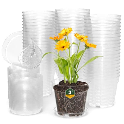 WSMKSZ 3 Inch Clear Nursery Pots, 60 Pack Highly Transparent Plastic Seedling Starter Planters with Drainage Holes and Trays for Flowers, Small Plant Pots for Indoor Plants - size: 3inch 60pcs
