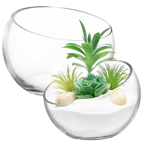 GANAZONO Succulent Planter Pot Set of 2 Half-Round Glass Hydroponic Flower Bowls for Indoor Plants and Home Decoration 5.90X4.33X2.36 Inches - color: 2pcs,2size