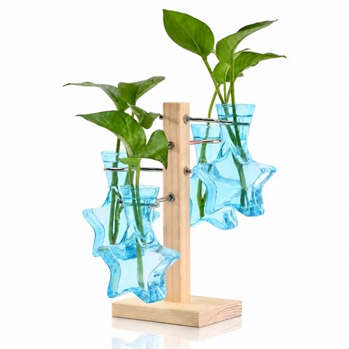 Plant Terrarium Propagation Stations: Blue Vase with Wooden Stand | Clear Glass, Star Shaped, Home Table Decor, Birthday Gifts for Plant Lovers Women Mom Wife - color: Blue