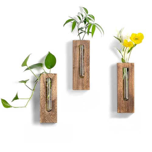 Farmhouse Wall Plant Propagation Station with Glass Tubes - color: Brown