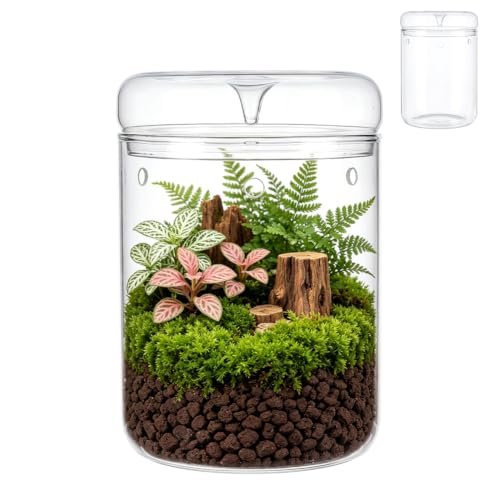 Glass Terrarium Jar with Dome Lid Glass Terrarium Containers for Plants Planter Terrariums for Succulents Moss Home Decor for Tabletop Gift for Plant Lovers - 4.8"x6.9" - size: 4.8x6.9 in