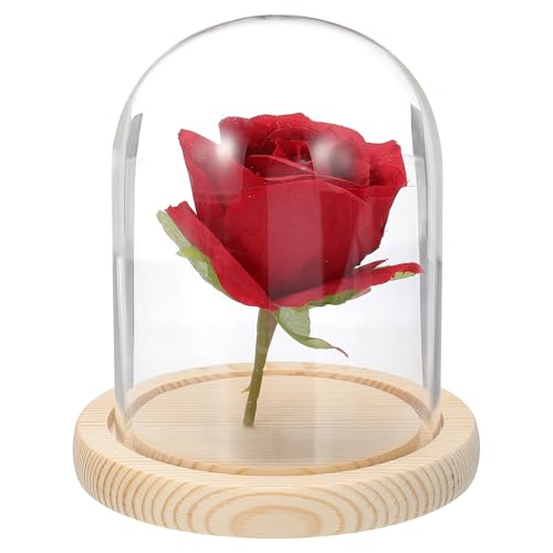 uxcell Glass Cloche Display Dome, 4.7" x 3.5" Glass Dome Display Case Wood Base Tabletop Jar Case Decorative Bell Jar for Plant Home Decor Office Wedding Party, Natural - size: 4.7" x 3.5"