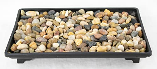 Yubonzai 1 Rectangular Black Plastic Humidity/Drip Tray for Bonsai Tree and House Indoor Plants + Rock 9"x 6"x 1" (B-9+R)