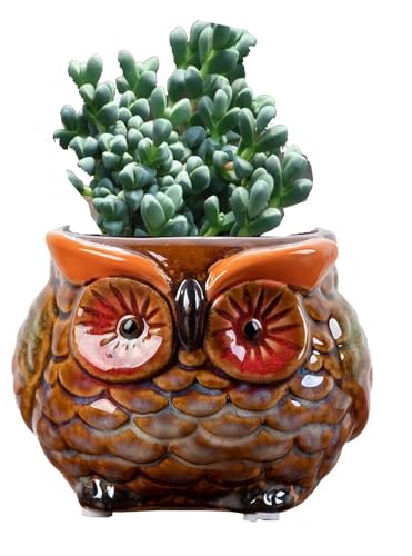 Animal Shaped Planter Flower Pot Owl Shape Small Succulent pots with Drainage Ceramic Animal Planter, Indoor Plant Container Planter with Drainage Hole Home Office Desk Garden (Red Owl) - color: Red Owl