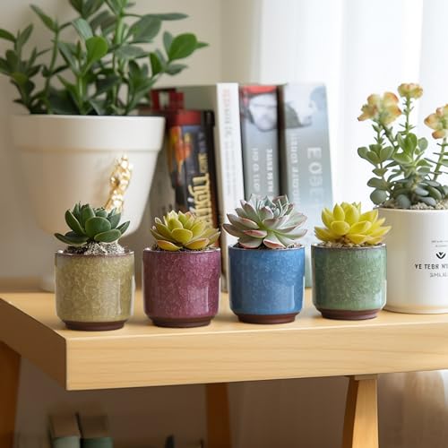 T4U Mini Succulent Pots, Small Ceramic Planters, Retro Gift Set of 6 - size: 2.4"*2.4"