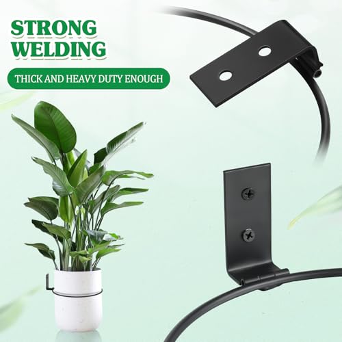 Flower Pot Holder Wall Planter Ring Hanger Metal Wall Plant Hanging Pot Holder Mounted Hanging Bracket for Indoor Outdoor Home Garden Plant Flower Display, Black(6 Pcs,8 Inch) - size: 8 Inch