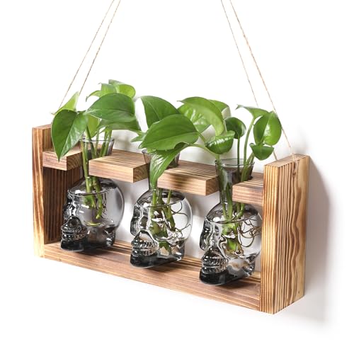 Plant Terrarium Propagation Stations Skull Planter Vase Skulls Decor | Hydroponics Halloween With Wooden Stand Gife for Father - color: Grey