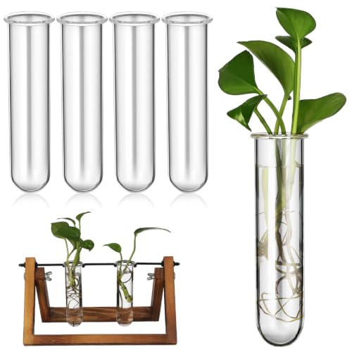 Beavorty 5 Pcs Glass Test Tube Vase for Plant Propagation Hydroponic Water Tubes for Flowers Desktop Test Tubes for Plants Home Office Decor Dinner Parties 4.33 X 1.10 X 1.10 in
