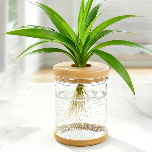 Plant Propagation Station, Hydroponic Glass Vase Jars for Office Home Garden Decor(Brown) - color: Brown