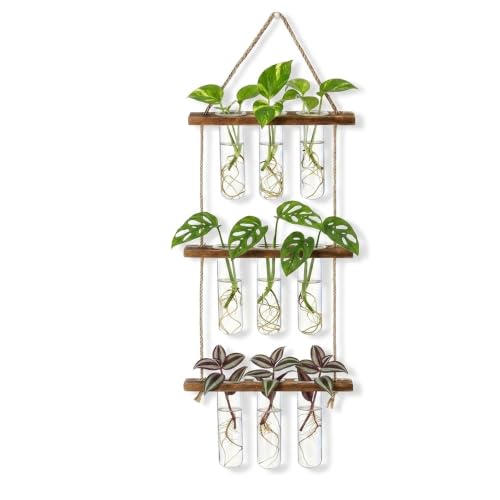 Plant Propagation Hanging Station, 3 Tier Wall Hanging Terrarium with Wooden Stand, Flower Vase Test Tube Glass Planter Stations for Hydroponic Cuttings, Home, Garden, and Office Decor