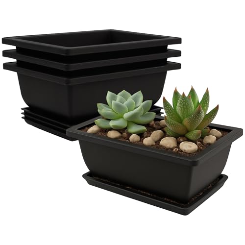 Bonsai Pots 3 Pack, 6.5 Inch Plastic Bonsai Training Pots with Trays | Compact rectangle pots with drainage holes, built-in mesh and matching trays for small bonsai, succulents and cacti - size: Small