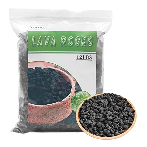 Black Lava Rocks for Plants -100% Pure Volcanic Rock No Dyes or Chemicals-Best Lava Stones Top Dressing for Cacti Succulents Plants,Bonsai-12LBS - color: Black, size: 12LBS