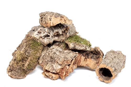 Assorted Virgin Cork Bark for Orchids, Reptiles & Terrariums – Natural Orchid Mounts, Vivarium Décor, Tarantula & Gecko Hides (1lb)
