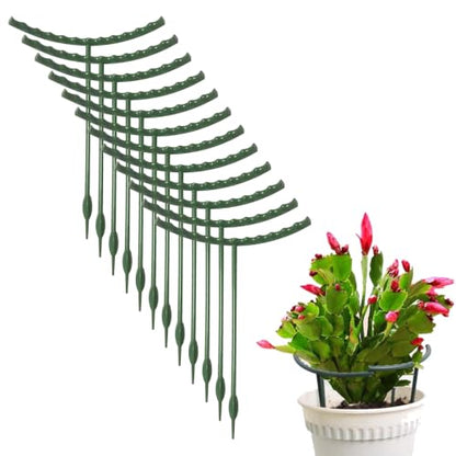 Mwellewm Plant Stakes Small Plant Supports for Indoor Plants Holder Sticks | 20 Pcs Half Round, Plant Rings, Plastic Cage, Short Stem, Flower Pot Climbing Trellis,for House Vegetable Outdoor 5.7x5.9Inch - size: 5.7 x 5.9inch 20Pcs