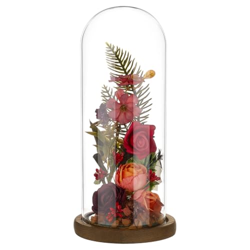BENECREAT Arch Shape Glass Cloche with Wood Base, 9.84x3.74inch Clear Glass Display Dome for Home Decor, Bell Jar Display Case to Showcase Plants Collectibles Keepsakes, Coconut Brown - color: Coconut Brown, size: Inner: 9.84x3.74 Inch