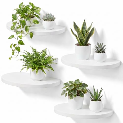 10-inch Round Wood Floating Shelves, 4-Pack Wall Mount Display | Sturdy invisible wall mount, White finish, ideal for small plants, toys, bathroom, living room storage rustic decor - color: White, size: 10 Inch-4 Pcs