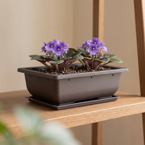 ZOENHOU 20 PCS 6.5 Inch Rectangular Bonsai Training Pots, Premium Plastic Plant Pot with Deep Humidity Trays, for Plants Flowers African Violets Reusable Durable - size: 6.5x4.8 Inch
