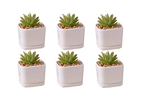 SeaStar Ceramic Succulent Mini Planter Pot,Mini 6 Set 2x1.65x2inch Square Modern Minimalist White/Window Box with Saucer for Office,Desk,House Balcony Landscape