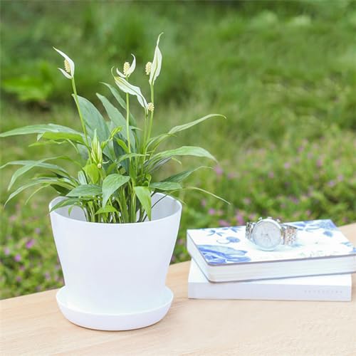 Tergy 50 Pack 4 Inch Plant Pots Bulk Small Plastic Planters Pots with Drainage Holes Flower Pot for Succulent, Cactus, Herb, African Violet (50pcs-White, 4Inches) - color: 50pcs-white, size: 4Inches