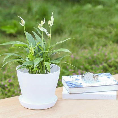 Tergy 50 Pack 4 Inch Plant Pots Bulk Small Plastic Planters Pots with Drainage Holes Flower Pot for Succulent, Cactus, Herb, African Violet (50pcs-White, 4Inches) - color: 50pcs-white, size: 4Inches