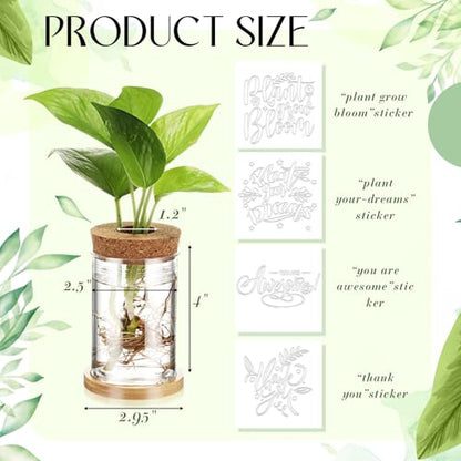 12 Pack Plant Propagation Jars Cork Lids Bamboo Stand,Awesome | Glass Vases for Water Propagation, Desktop Planters Wood Stand, Office Home Decor, Teacher Thank You Gifts, Quotes Art