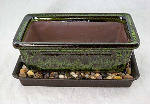 8" Rectangular Moss Green Bonsai Pot, Cactus & Succulent Planter + Tray + Rock + Mesh Combo (A768-8MG Combo)
