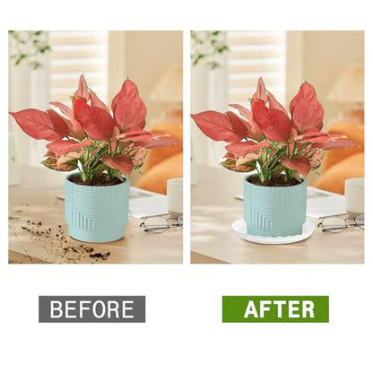 15 Pcs Plastic White Round Wave Plant Saucer,6 Inch/8 Inch/10 Inch,Durable Duty Flower Plant Pot Drip Tray Container for Home Garden Indoor and Out Door Plant - color: White
