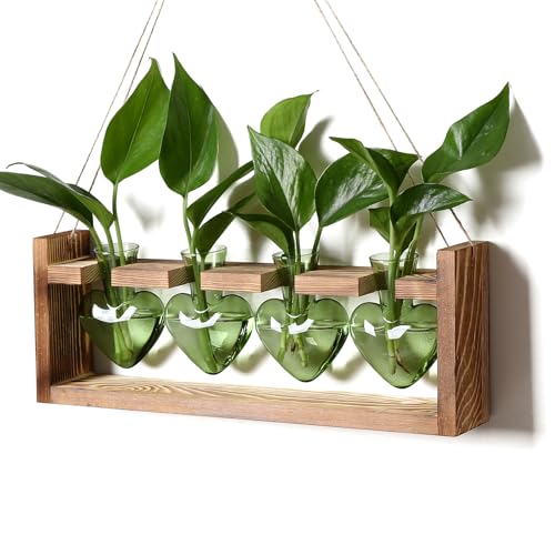 Plant Propagation Stations Heart Plant Terrarium Kit - color: Green