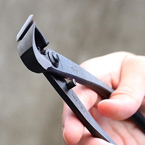 Wazakura Bonsai Tool Kit Made in Japan, Yasugi Steel Ashinaga Bonsai Scissors 8.2 inch (210mm) + Concave Branch Cutter 8 in (200mm) Starter Set (Yasugi Steel Ashinaga Scissors + Concave Branch Cutter)