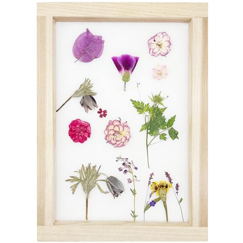 Cayway 4 Pack Pressed Flowers Natural Dried Flowers Colorful Resin Flowers Real Pressed Flowers for Resin Scrapbook DIY Art Crafts, Epoxy Resin Jewelry, Card Making Supplies, Style H - color: 4 Pack Pressed Flowers C