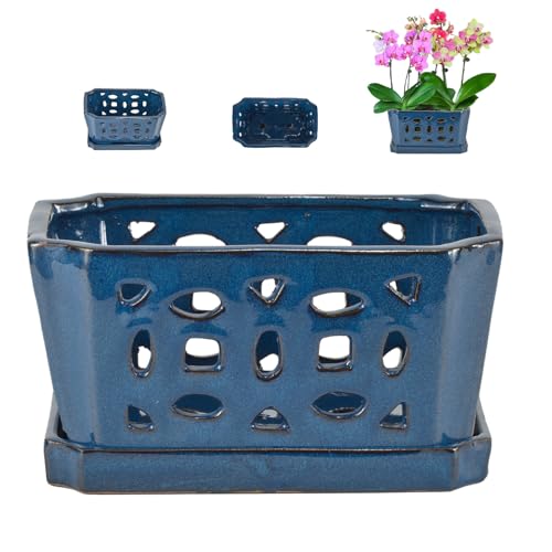 W&W Orchid Pot with Holes and Saucer for Repotting, Blue, 9.7 Inch - color: Blue 9.7", size: 9.7"