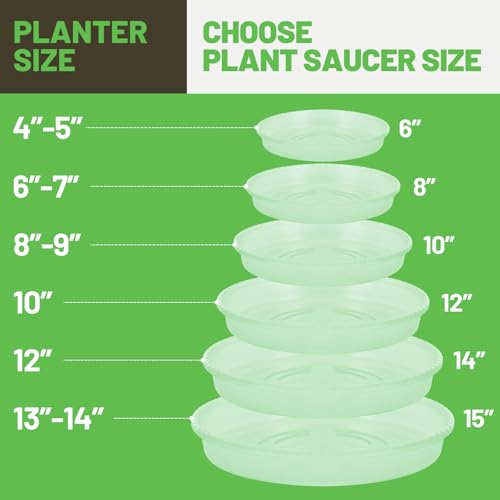 MUDEELA 6-Pack Plastic Plant Saucers Tray for Indoor, 10 Inches, Clear | Durable, Thicker, Stronger, Deeper, Round Plant Dish Pant Plate to Catch Water for Flower and Plant Pot - size: 10" - 6 Pack