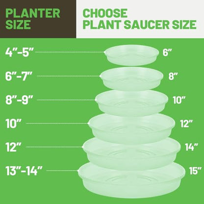 MUDEELA 6-Pack Plastic Plant Saucers Tray for Indoor, 10 Inches, Clear | Durable, Thicker, Stronger, Deeper, Round Plant Dish Pant Plate to Catch Water for Flower and Plant Pot - size: 10" - 6 Pack