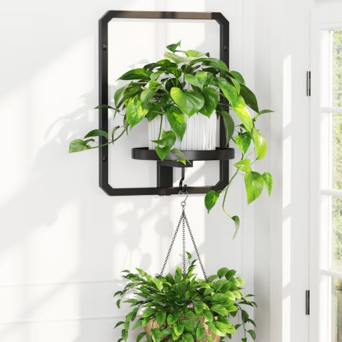 iDavosic.ly Wall Plant Picture Frame Holder for Indoor with Hook, Black - color: Black, 1 Pack, size: Rectangular