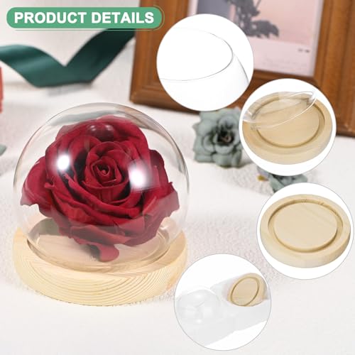 M METERXITY Cloche Glass Dome, D3.9In Ball Jar with Wooden Base for DIY Snow Globes/Small Plants/Flowers/Candles/Models/Souvenirs, Glass Display Case [Wood] - color: Wood, size: D3.9In