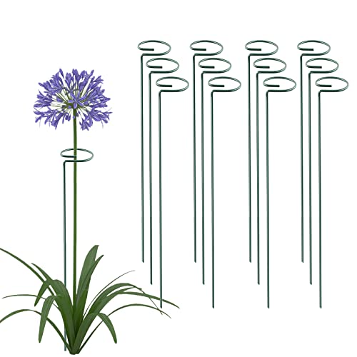 24 Inch 20 Packs Plant Support Stakes, Garden Single stemmed Plant Support Hoops Plant Prop for Flowers Orchid Tomatoes Peony Lily Rose Gladiolus (24 inch) - color: 24 inch-Green