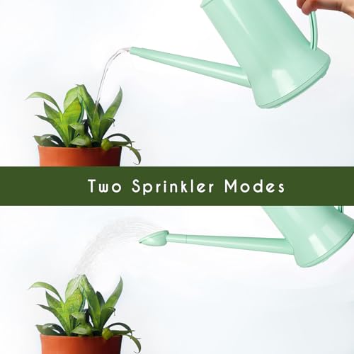 XXXFLOWER Wall Hanging Propagation Station with Wooden Stand 5 Glass Test Tubes 3 Tiered + 2L Long Green Spout Removable Nozzle Flower Watering Pot