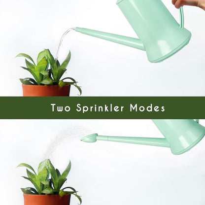 XXXFLOWER Wall Hanging Propagation Station with Wooden Stand 5 Glass Test Tubes 3 Tiered + 2L Long Green Spout Removable Nozzle Flower Watering Pot