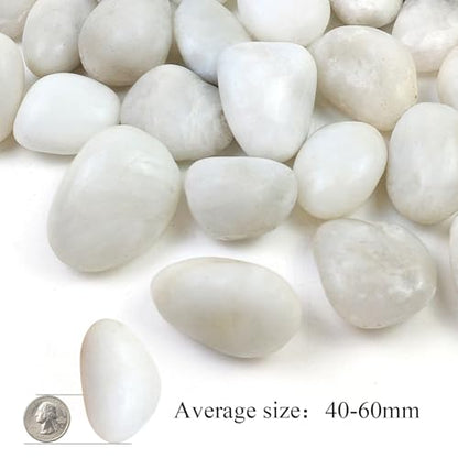 10LB White River Rocks - 2-3 inch High Polished Decorative Pebbles for Landscaping, Outdoor Decor and Plants - size: 10LB, style: White